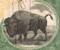 Baldwin Oil Corporation stock certificate bottom vignette of american bison