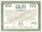 Level Best Golf  stock certificate specimen circa 1993