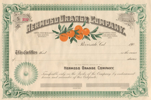 Hermoso Orange Company stock certificate 1900