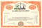Rio Grande Valley Gas Company stock certificate circa 1960's - orange