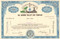 Rio Grande Valley Gas Company stock certificate circa 1960's - blue
