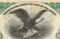 The North American Company stock certificate 1890's  - top eagle vignette