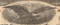 Lake Torpedo Boat Company stock certificate 1916 - vignette