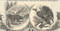 Black Bear - War Eagle Gold Mines stock certificate circa 1899 (Washington) - vignettte