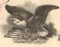 Marietta & Cincinnati Rail Road Company stock certificate 1879 - bottom eagle engraving