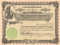 Shore Amusement Apparatus Company stock certificate circa 1906  (New York)