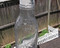 Empty Lozak bottle