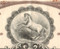 Colt's Manufacturing Company stock certificate 1950's (Connecticut) - horse vignette