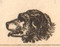 First National Bank of Brownville stock certificate circa 1871  (Nebraska) - bottom dog vignette