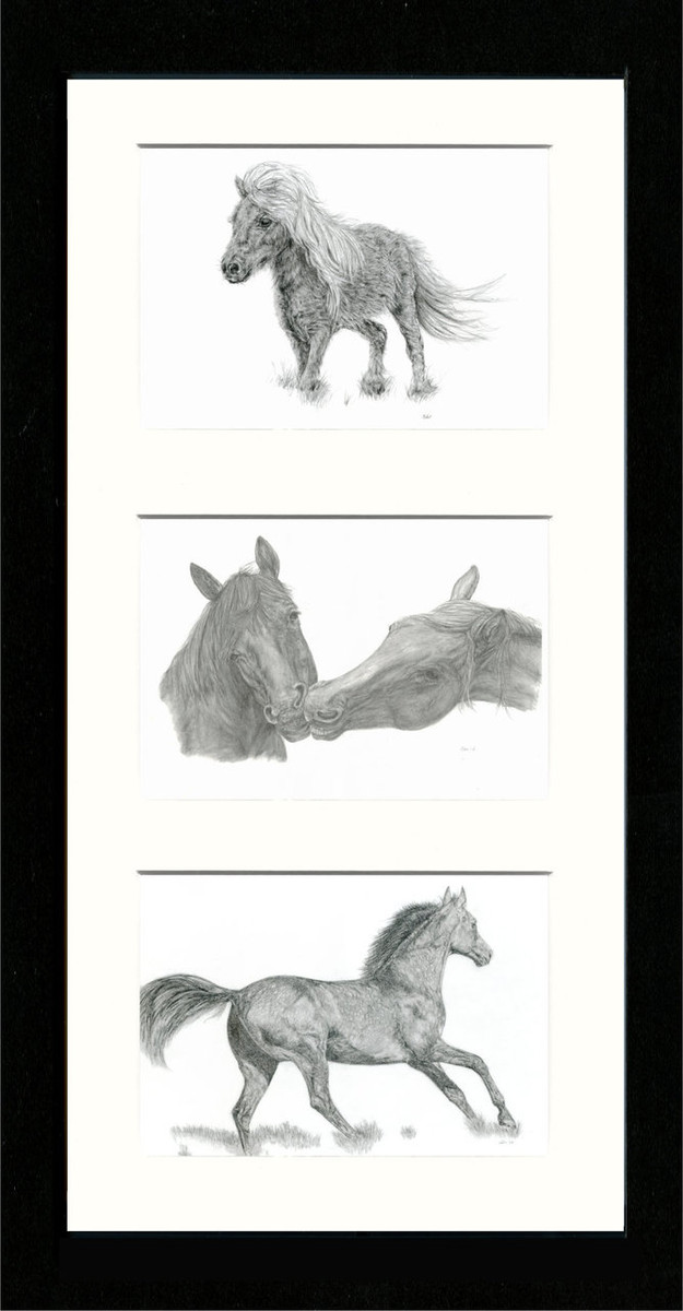 Horse Pony Triptych Collector S Prints Willow Fine Arts