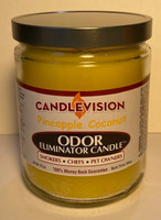 Pineapple Coconut Odor Eliminator Candle