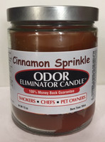 Cinnamon Sprinkle Odor Eliminator Candle