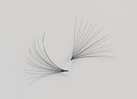 Perfect Hand Made Fans 2021 by Beautiful Lashes