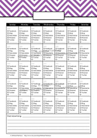 Social Media Calendar - Direct Sales, blogging, online business printable - EDITABLE - 7 Colours - INSTANT DOWNLOAD