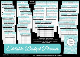 EDITABLE LIGHT BLUE Budget Planner Printables - Instant Download