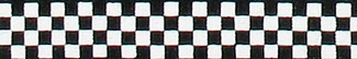 Checkerboard Beastie Band Cat Collar