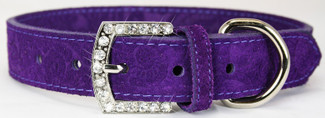 Leather and Suede Crystal Buckle Dog Collars