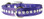 Metallic Purple Leather and Crystal Dog Collar