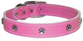 Leather Dog Collars with Silver Paws