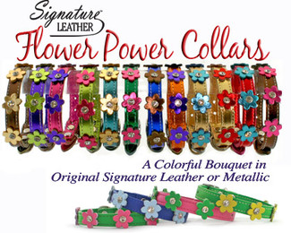 Flower Power Leather Dog Collars for small to medium size dogs.  High quality leather with leather flowers and crystals.  Chrome Hardware.  Available in many color combinations.