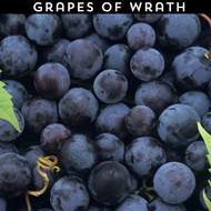 Grapes of Wrath eLiquid