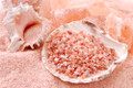 Himalayan Pink Salt (Fine)