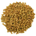 Fenugreek is valued for its mucilaginous healing properties. Ulcers and inflammations of the stomach and bowels: colitis, diverticulitis, chrohns disease, irritable bowel syndrome, hiatal hernia, colon cancer. Chronic constipation with dryness. Chronic irritative cough, bronchitis. Urinary tract conditions with inflammation. Preventative for thrombosis, embolism. Shown to lower blood sugar and reduce cholesterol. Promotes breast milk.