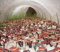 Organically Grown Reishi Mushroom