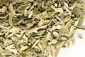 Olive Leaf