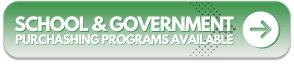 School and Government