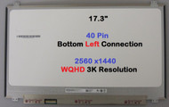 BLISSCOMPUERS Compatible with B173QTN01.0 B173QTN01.1 B173QTN01.2 B173QTN01.4 17.3 inch 72% NTSC 120Hz WQHD 2560x1440 LCD Display Screen Panel Replacement