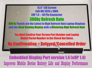 L99601-001 - LCD RAW Panel 15.6inch FHD AG 300HZ Nwbz