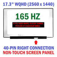 165Hz 2560x1440 NE173QHM-NY2 BOE0977 17.3" QHD IPS LCD Screen Display 40 pin