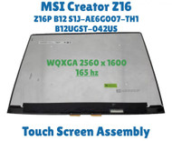 MSI Creator Z16P B12UHST Creator Z16P Series Display 16" 16:10 2560x1600 pixel 189 PPI multitouch AUOD298 IPS True Pixel 100% DCI-P3 glossy 165Hz screen