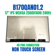 B170QAN01.2 LCD Screen LCD Display Panel 16:10 2560x1600 178PPI IPS 40 Pin 240Hz