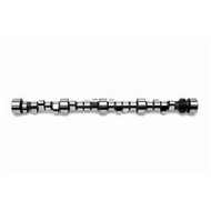 CAMSHAFT ASM,ENG (OFF ROAD)