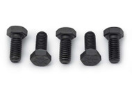 Camshaft Bolt