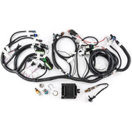 HARNESS ASM,ENG WRG KIT *RAMJET 502*
