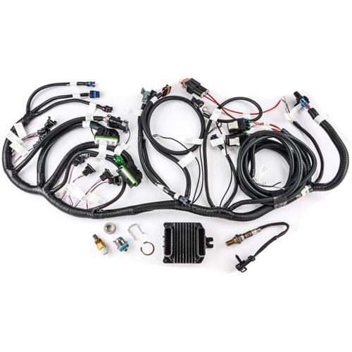 HARNESS ASM,ENG WRG KIT *RAMJET 502* - Ed Rinke Performance