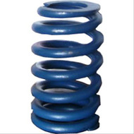 Small-Block Valve Springs (12625033)