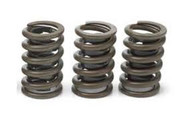 Small-Block Valve Springs (94666580)