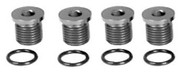 PLUG,ENG BLK OIL GAL AN-6