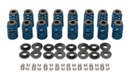 SPRING PKG,VLV, BEEHIVE UPGRADE KIT