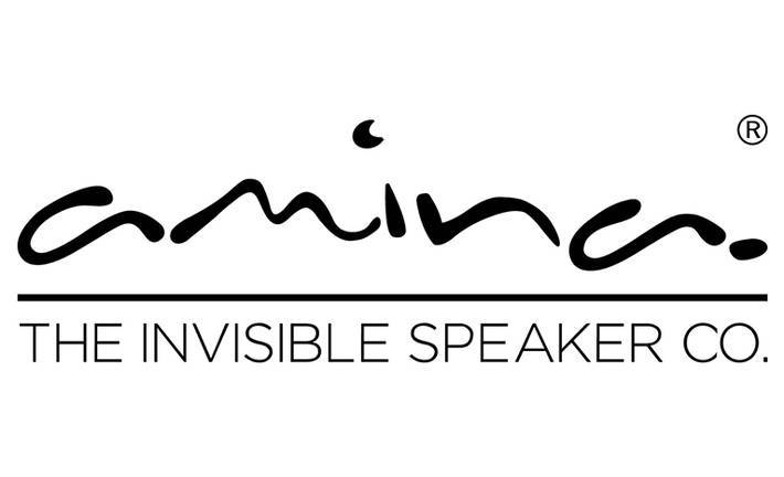 Amina Logo