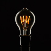 Bianca - Flexible LED Filament A60 Bulb