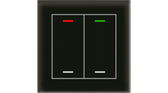 KNX Glass Push Button II Lite 2-Fold RGBW Black