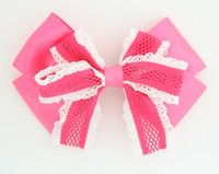 Lace D.pink big hair clips piece