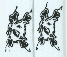 Bone white animal shoelace