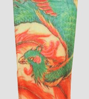 Phoenix green fake tattoo sleeves accessory
