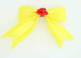 Yellow / flower red yellow flower